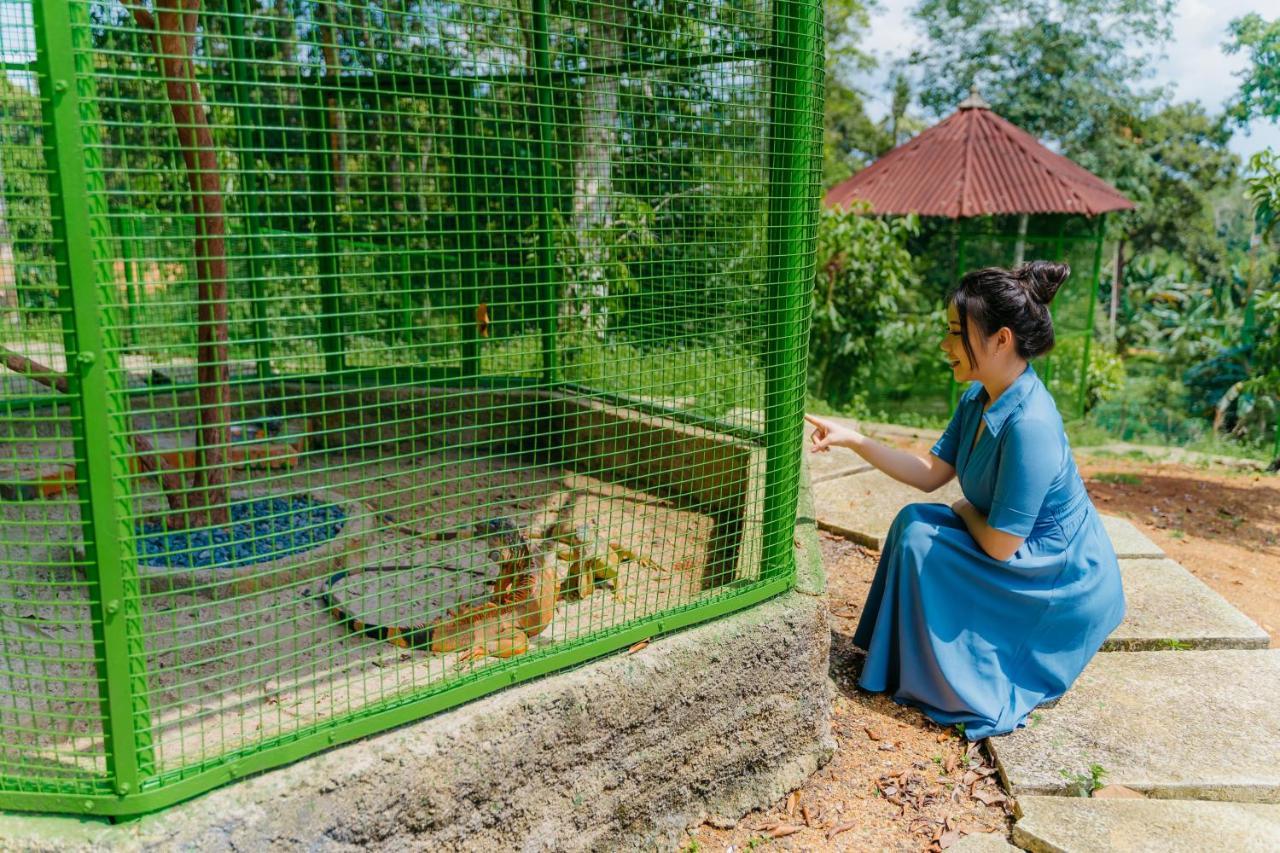 De Bintan Villa Tenaga Kültér fotó